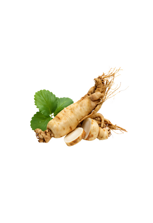 Estratto di Ginseng