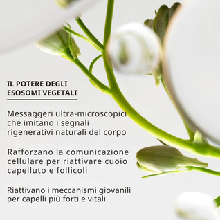 REVITA | Siero per capelli