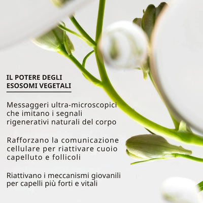 REVITA | Siero per capelli